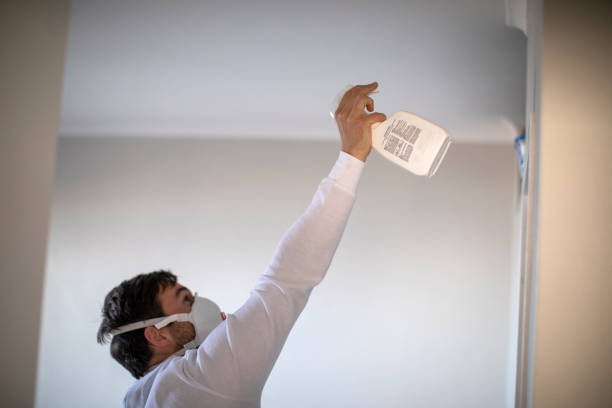 Best Certified Mold Removal  in Douglas, MI