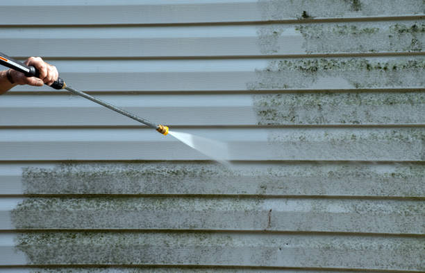 Best Residential Mold Removal  in Douglas, MI